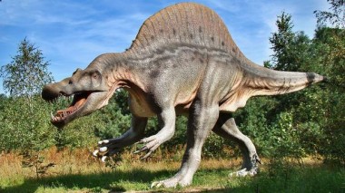 Ученые назвали новую версию причины гибели динозавров