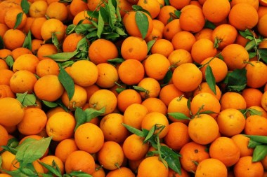 В Тунисе фермеры собрали рекордный урожай апельсинов