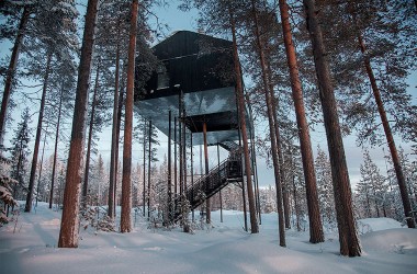 В Лапландии построили отель на деревьях (ФОТО)