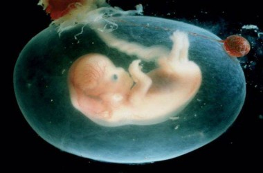 Ученые впервые отредактировали геном в эмбрионах человека (ВИДЕО)