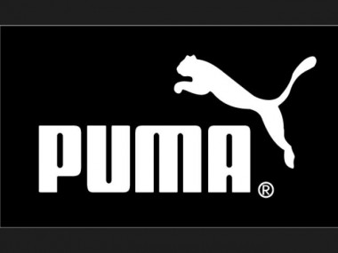 Puma   3     