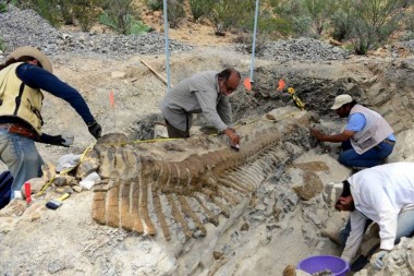 Во Франции палеонтологи нашли останки динозавра, жившего 90 млн лет назад