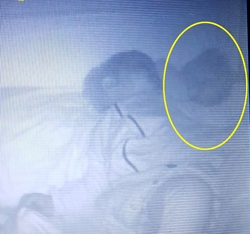 В Британии засняли ребенка-призрака, спящего в одной кровати с реальным малышом (ФОТО)