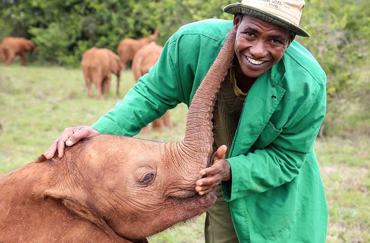 Слоновьи поцелуи: спасенная от гибели слониха привязалась к своему опекуну (ФОТО)