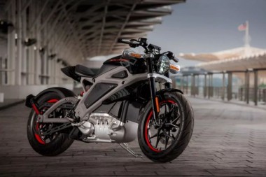 Harley-Davidson      2020 