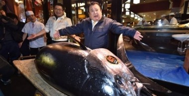 Рекордную сумму заплатили за тунца на торгах в Токио