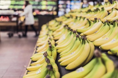 Учёные предупредили о скором дефиците бананов