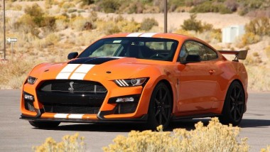  Ford Shelby GT500 2020    ()