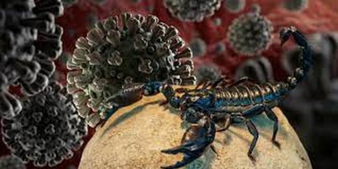 Яд скорпиона может стать спасительным лекарством от коронавируса
