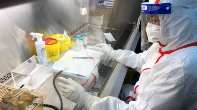 В Китае разработали препарат для лечения коронавируса