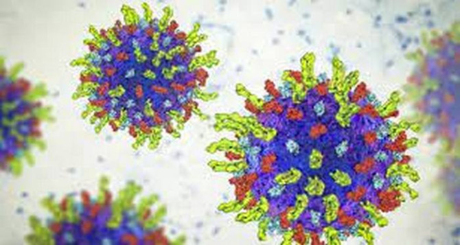Модифікований вірус герпеса може знищити пухлину