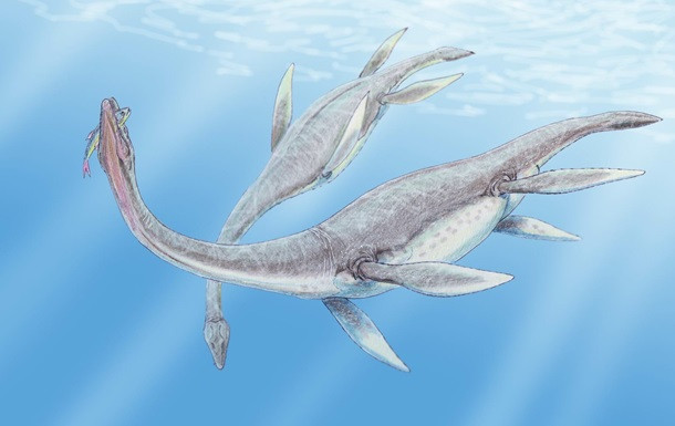 Вчені знайшли цілий скелет плезіозавра