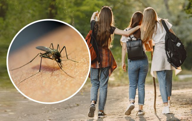 Вчені з'ясували, людей в якому одязі частіше кусають комарі