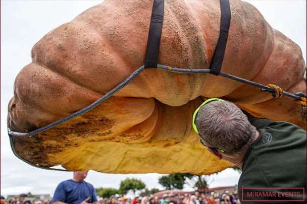 Фермер виростив найбільший у світі гарбуз: його вага приголомшує (ФОТО)